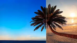 Mastering the Art of Choosing the Perfect Background