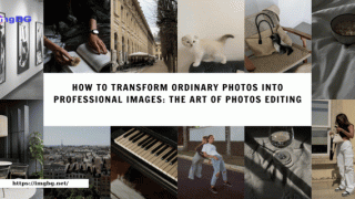 How to Transform Ordinary Photos into Professional Images: The Art of Photos Editing