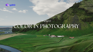 Understanding Color in Photography: A Simple Guide