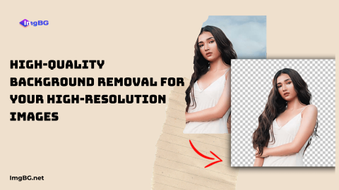 High-Quality Background Removal for Your High-Resolution Images