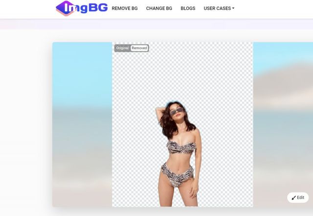 Background Removal Tools: Optimizing Shopify Product Images